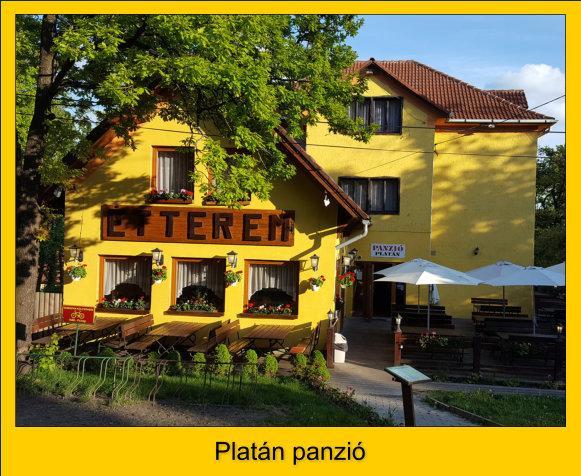 Hotel Platán Panzió Dobogoko Exterior foto